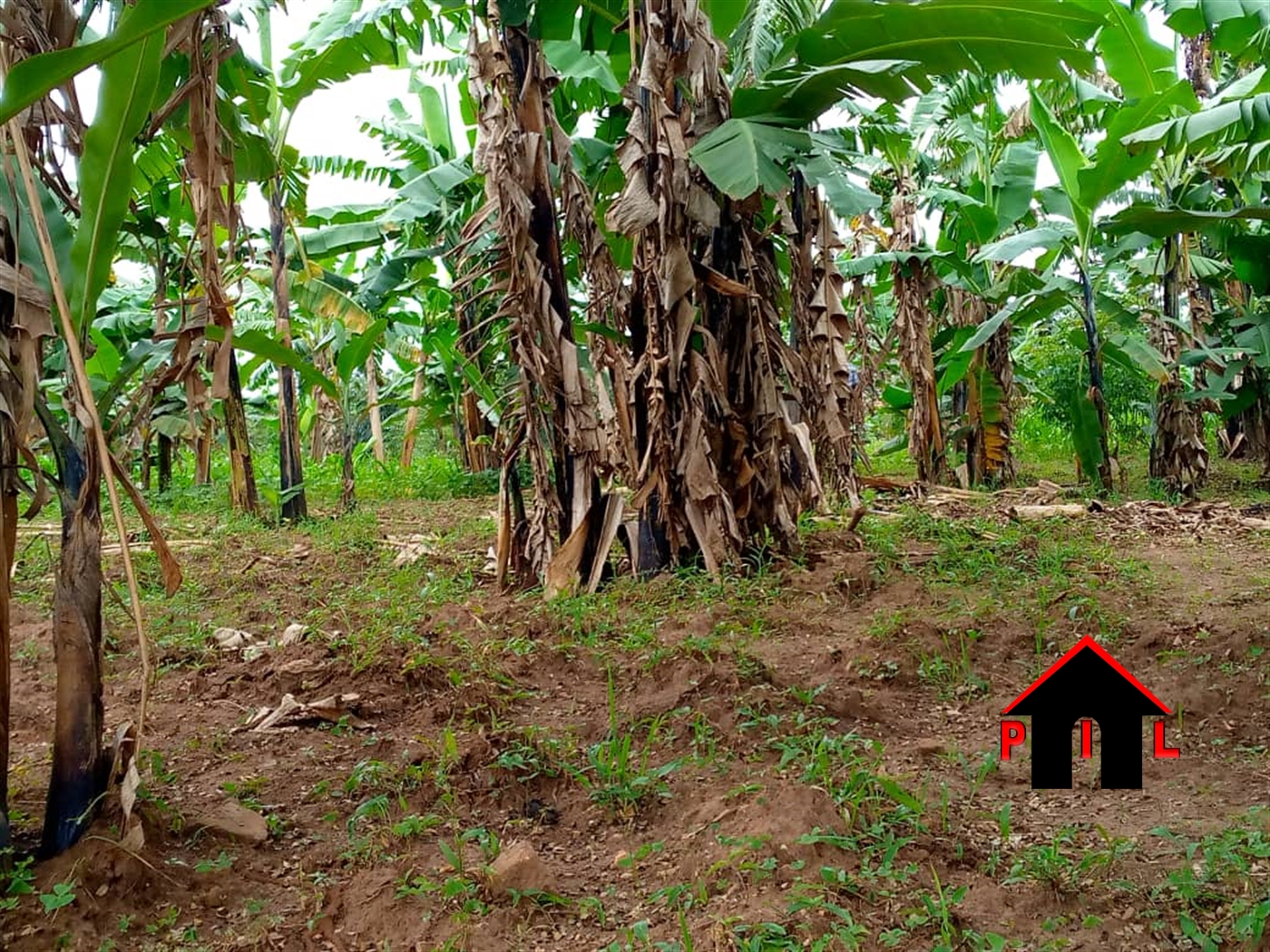 Residential Land for sale in Katende Mpigi