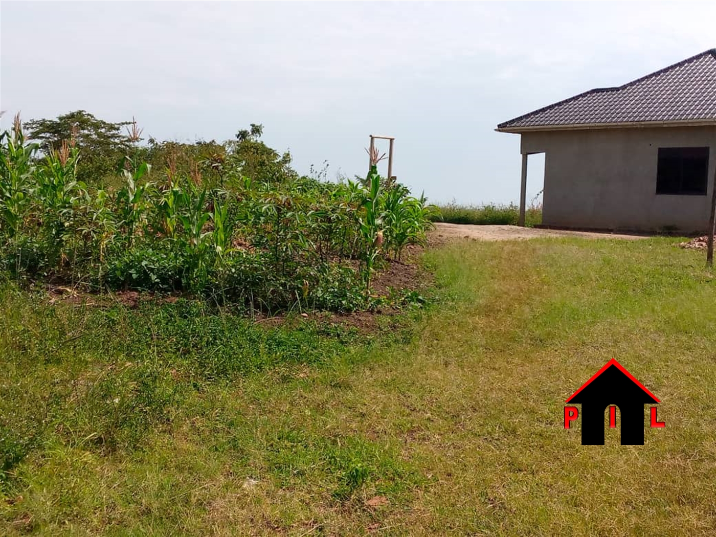 Commercial Land for sale in Busukuma Wakiso