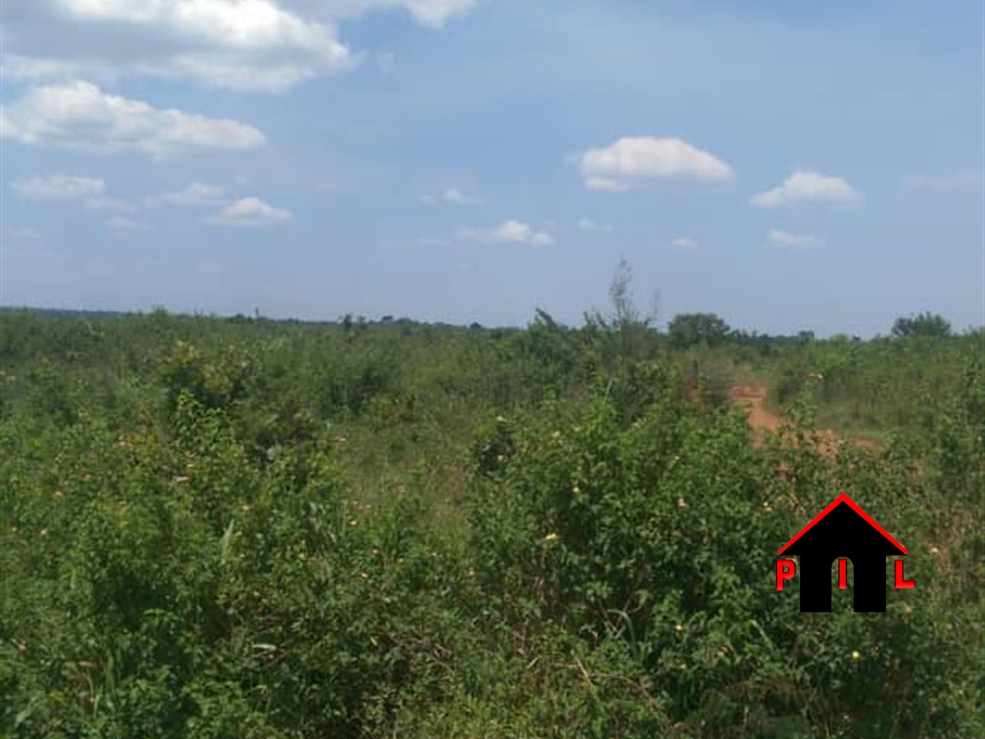 Commercial Land for sale in Ziloobwe Luweero