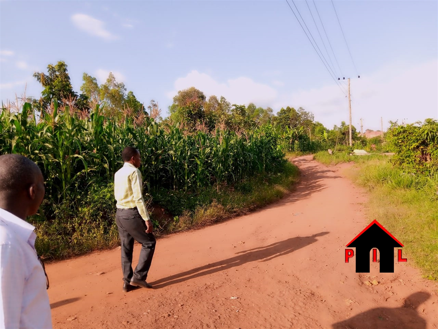 Residential Land for sale in Bukeelele Mukono