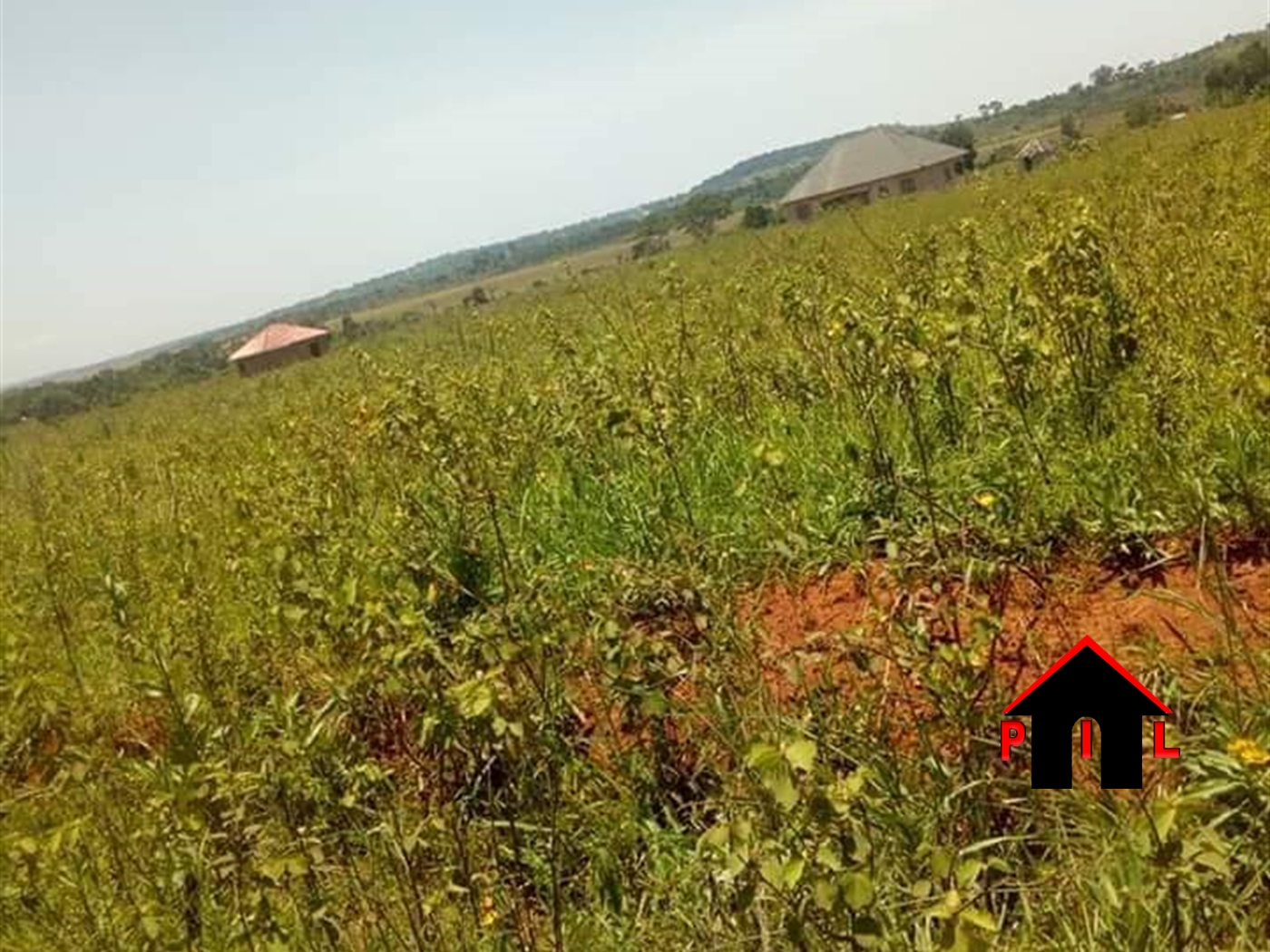 Residential Land for sale in Kasanjje Wakiso