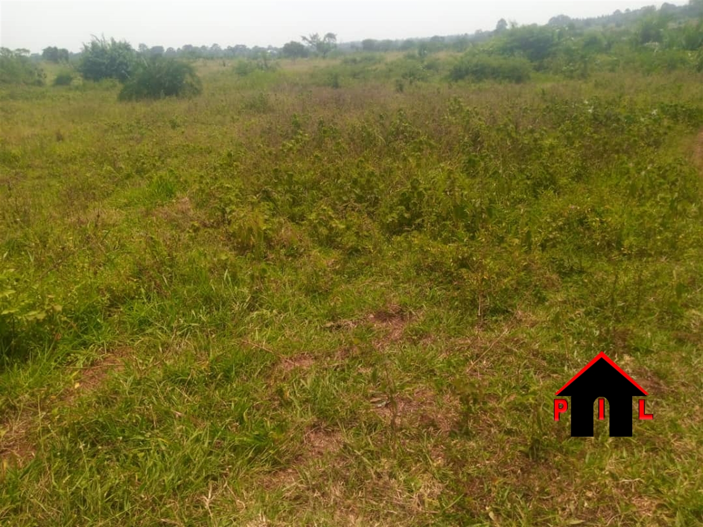 Farm for sale in Nabisojjo Nakaseke