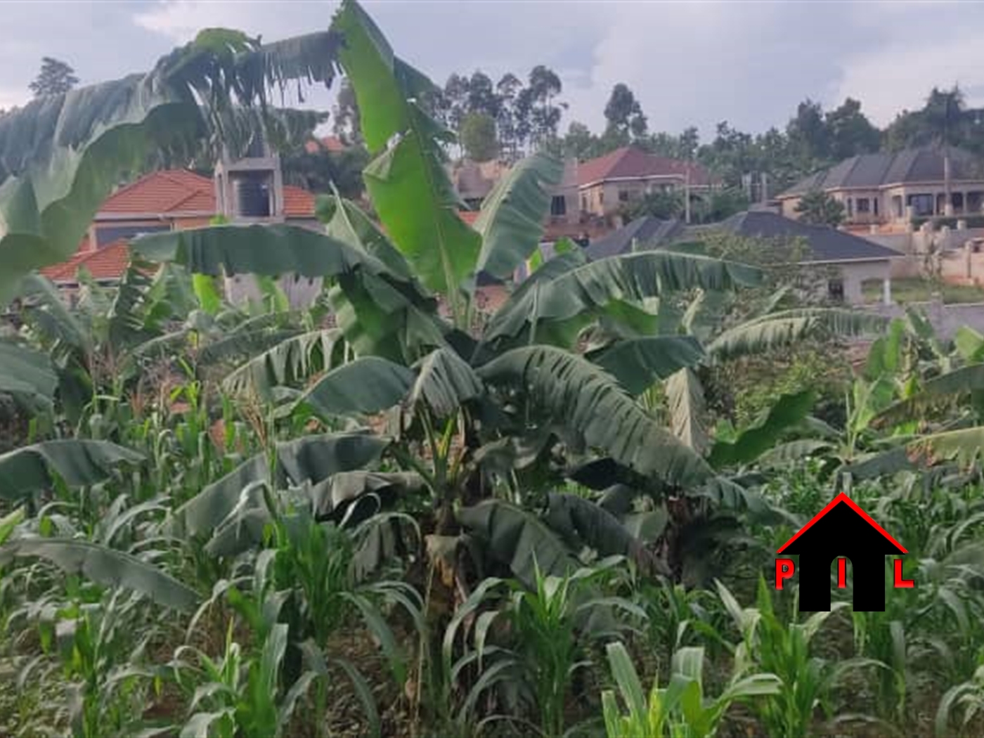 Residential Land for sale in Kira Wakiso