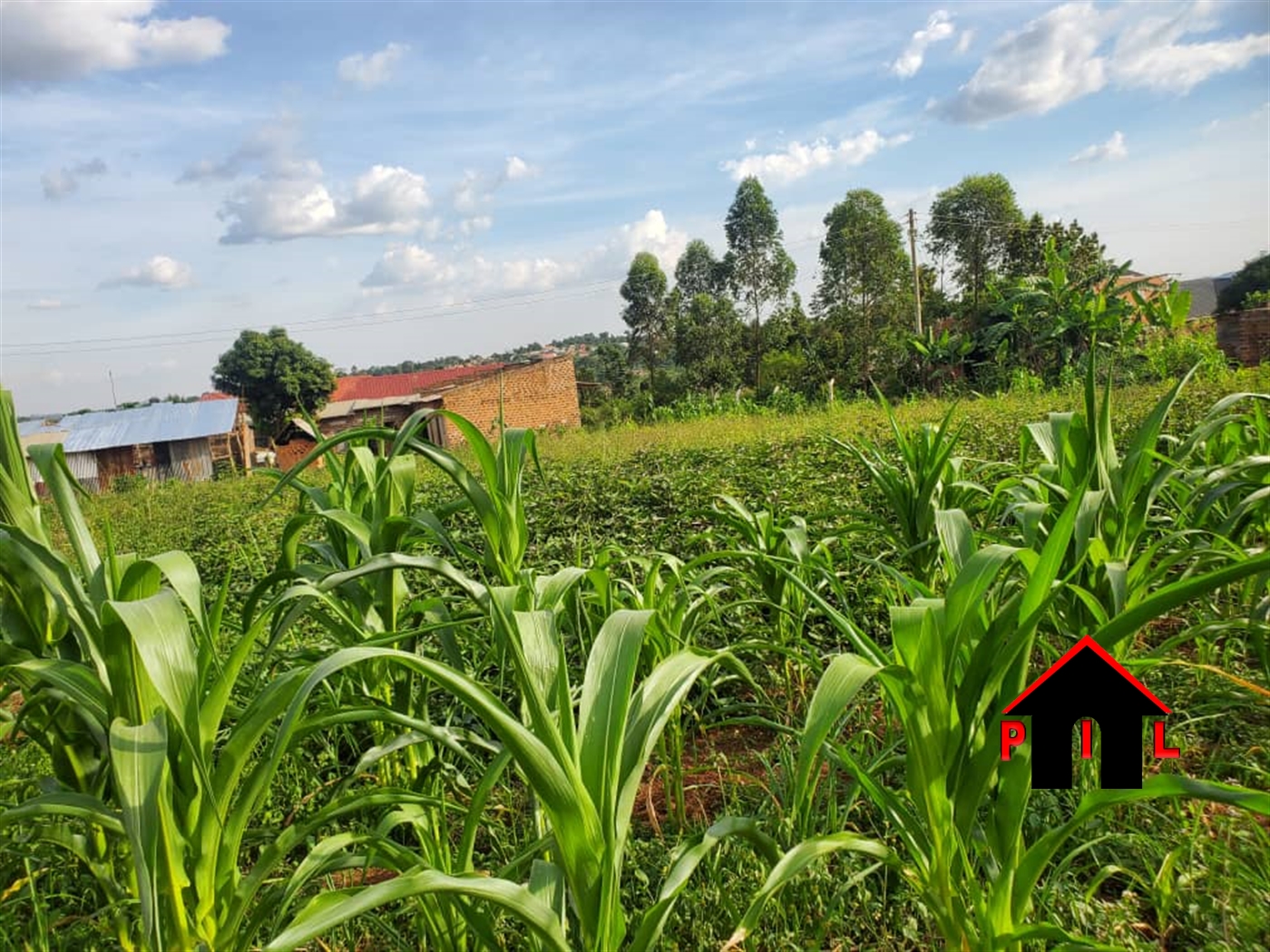 Residential Land for sale in Matugga Wakiso