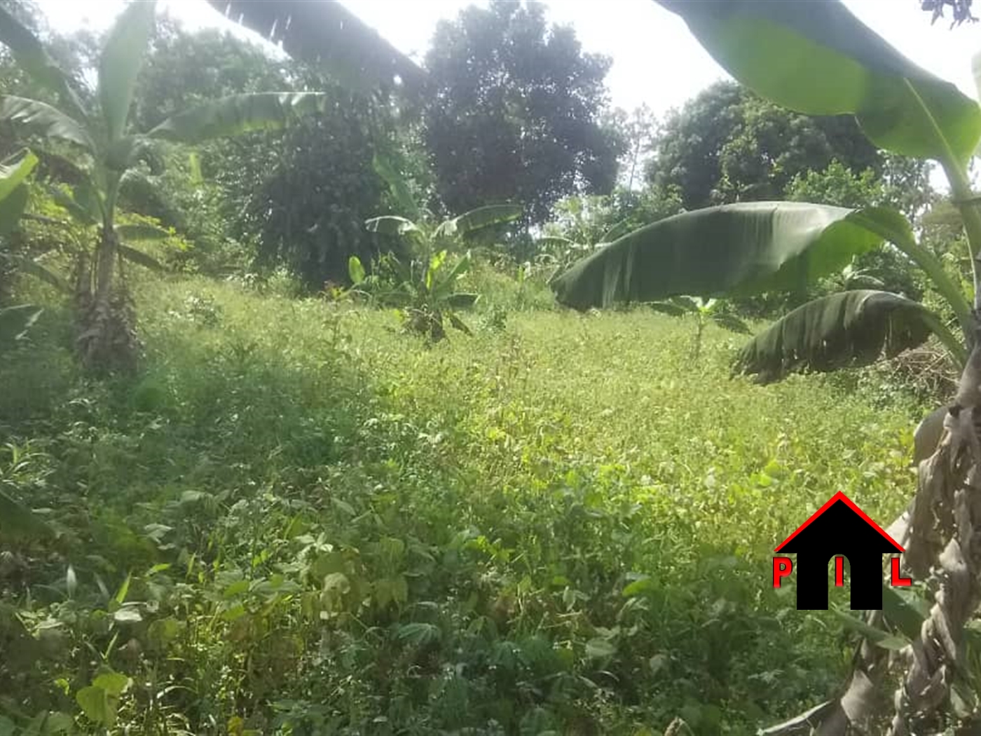 Commercial Land for sale in Bombo Luweero