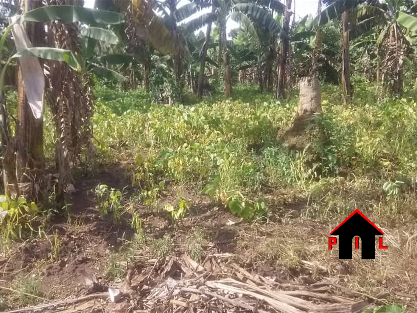 Commercial Land for sale in Bombo Luweero