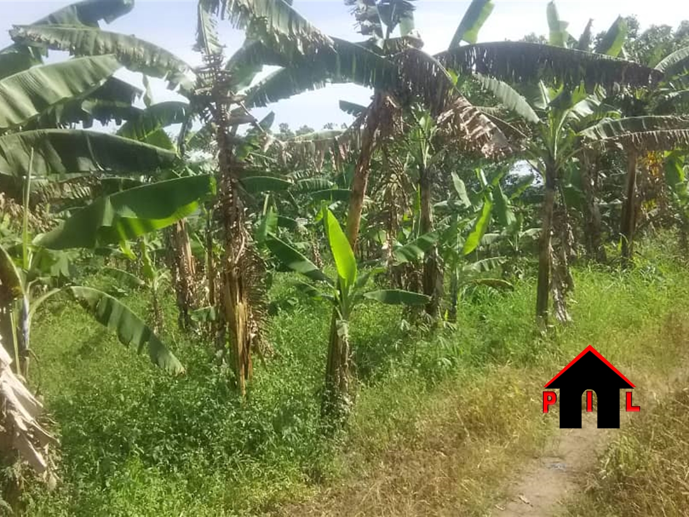 Commercial Land for sale in Bombo Luweero