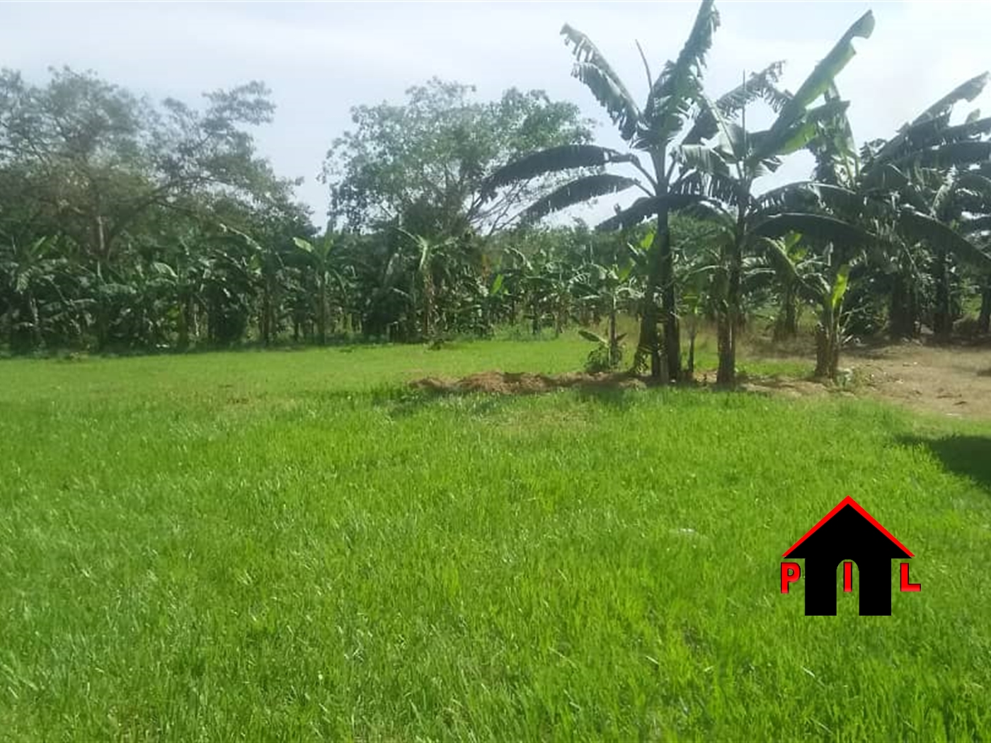 Commercial Land for sale in Bombo Luweero