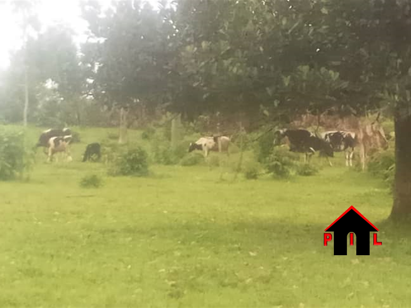 Agricultural Land for sale in Lugazi Buyikwe