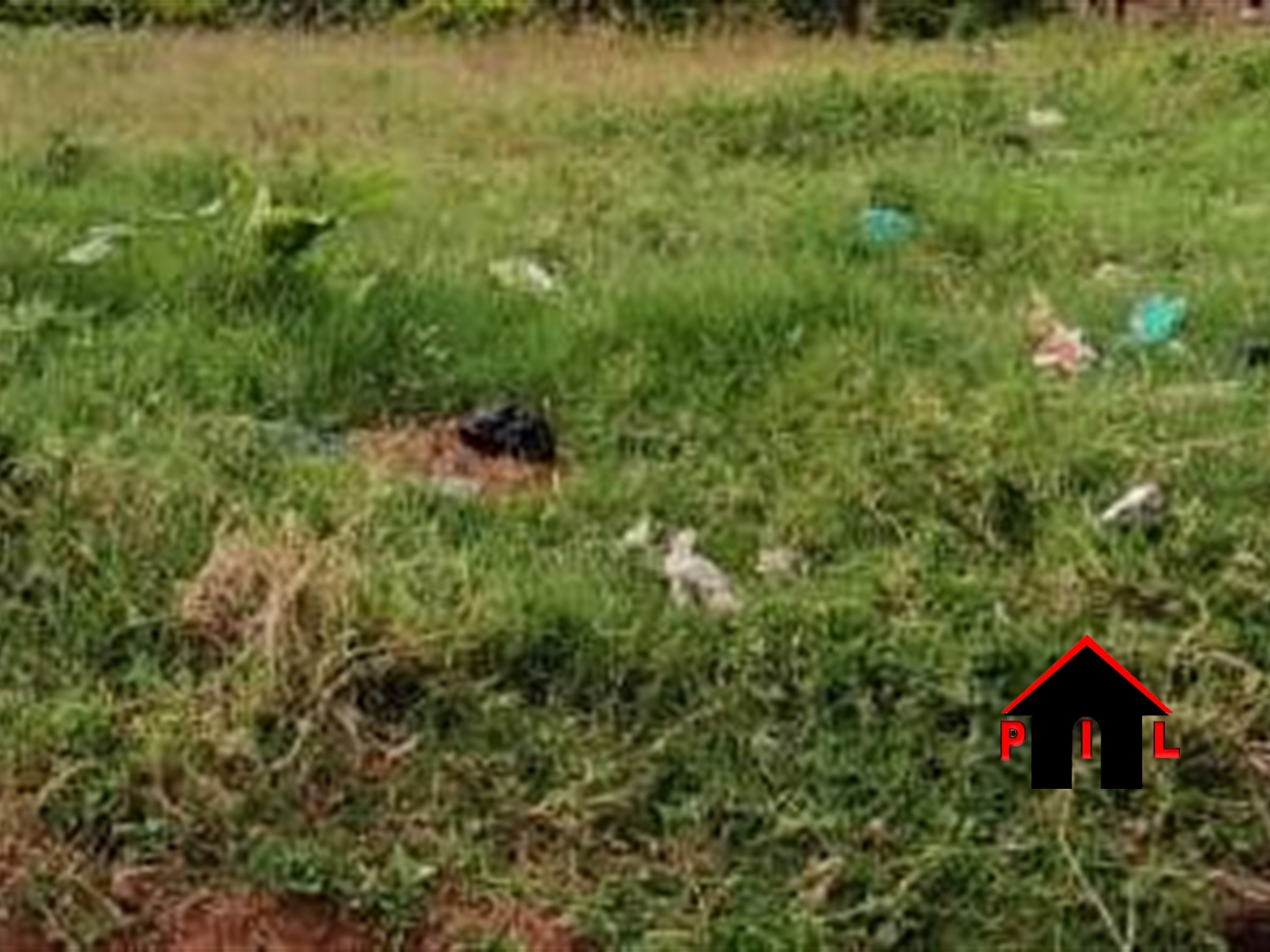 Residential Land for sale in Bukeelele Mukono