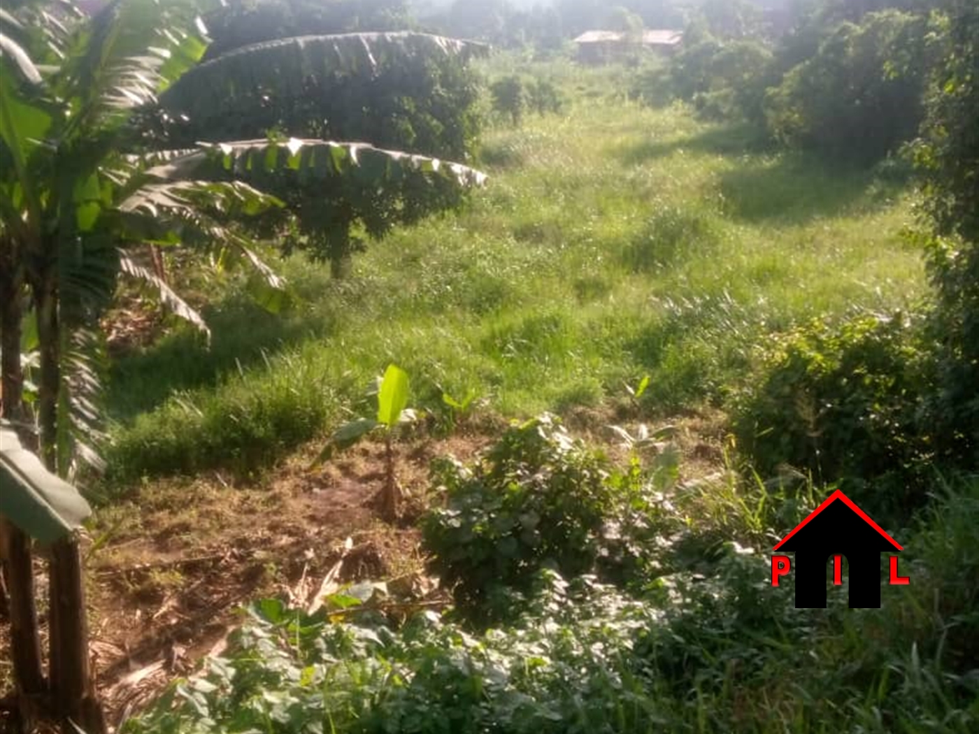 Residential Land for sale in Kasengejje Wakiso