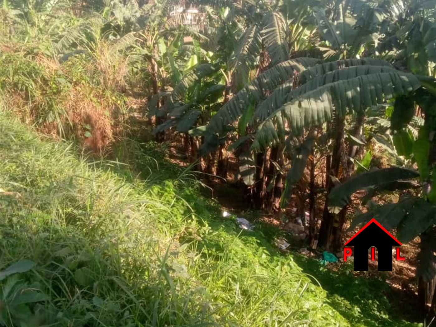 Residential Land for sale in Kasengejje Wakiso