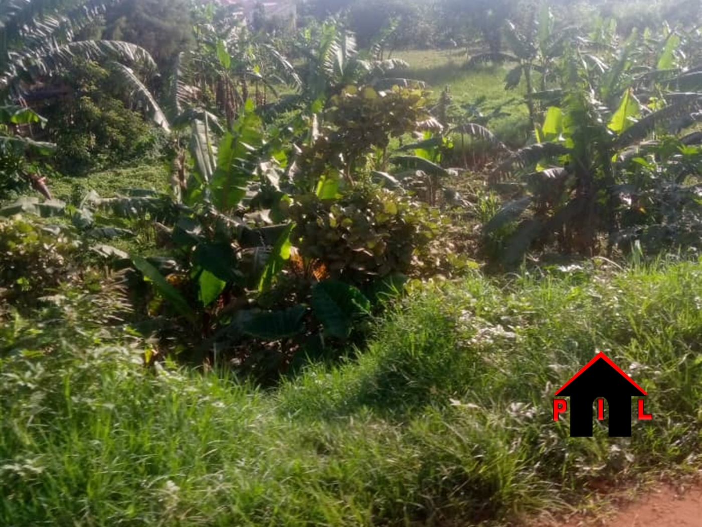 Residential Land for sale in Kasengejje Wakiso