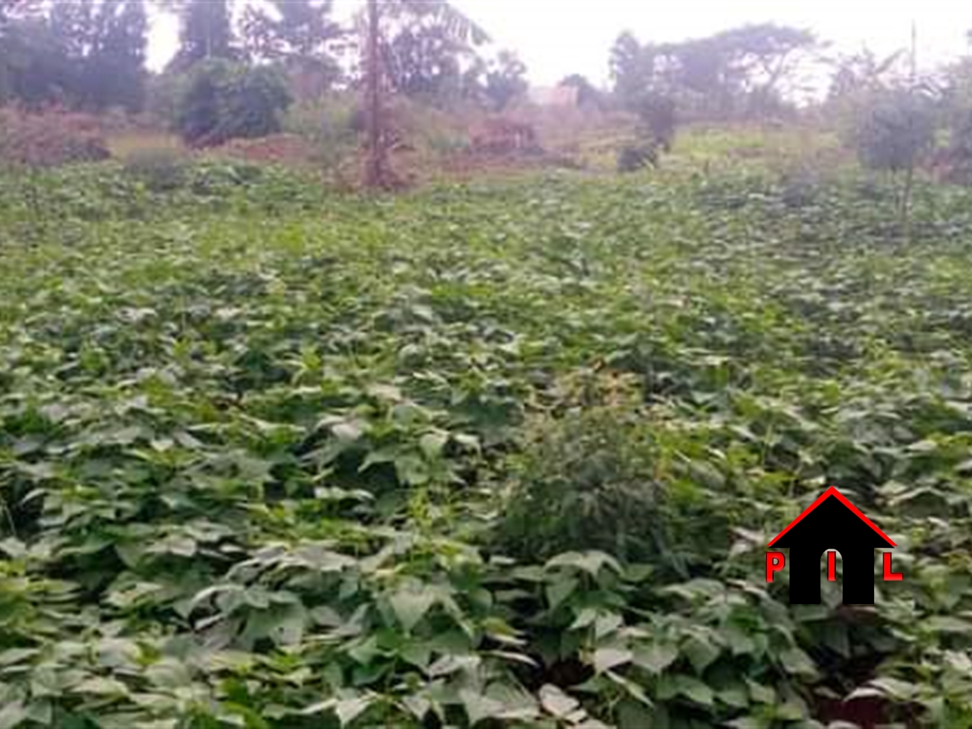 Commercial Land for sale in Matugga Wakiso