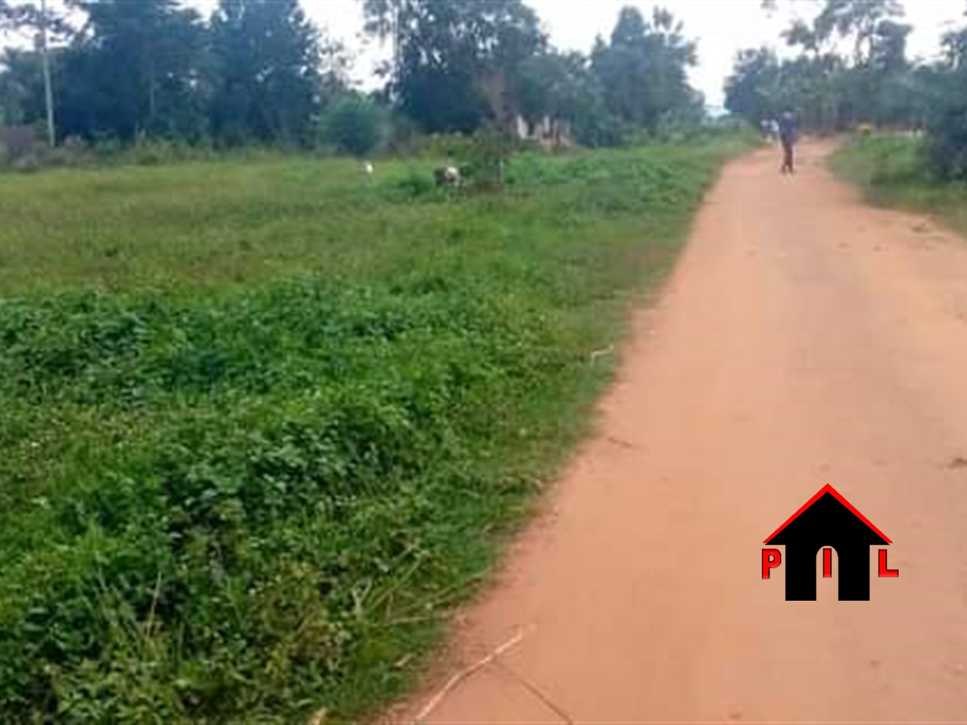 Commercial Land for sale in Matugga Wakiso