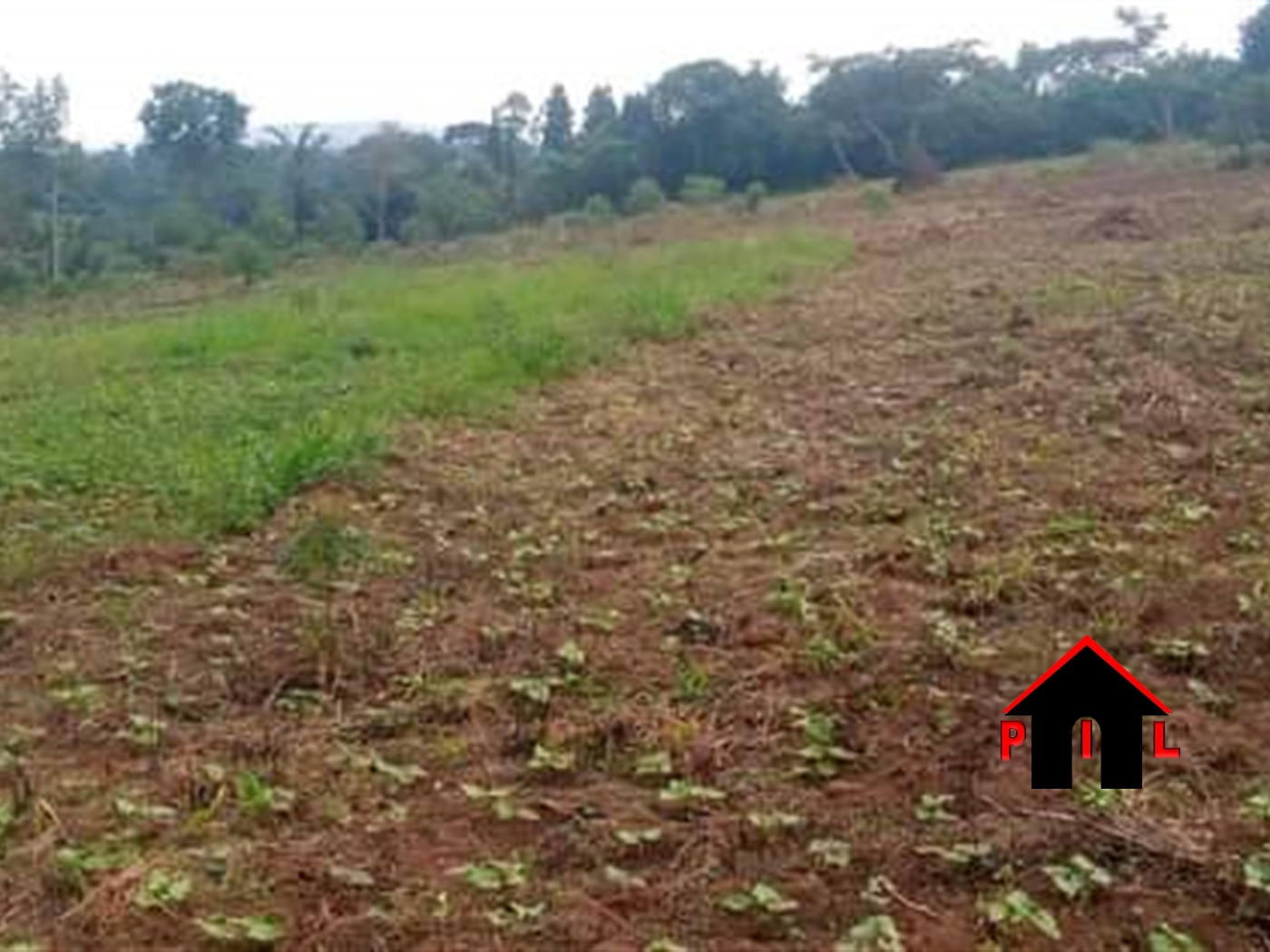 Commercial Land for sale in Matugga Wakiso