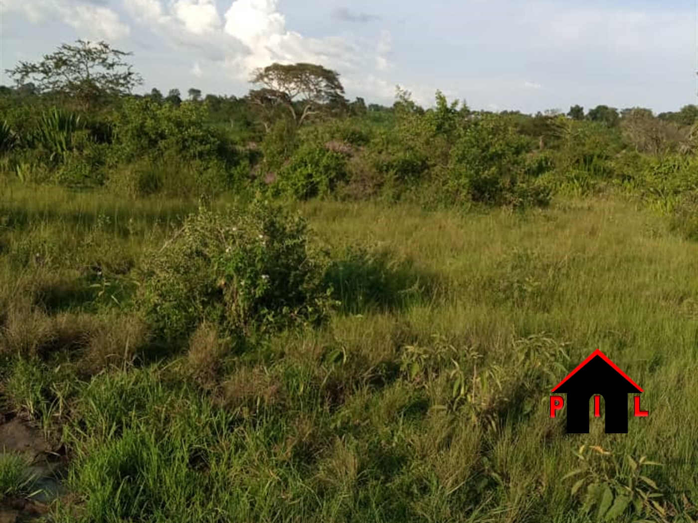 Agricultural Land for sale in Bisanje Masaka