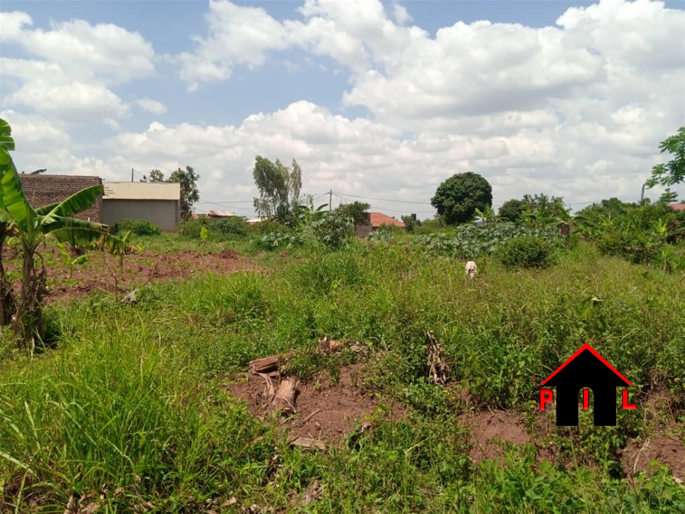 Residential Land for sale in Kiwologoma Wakiso