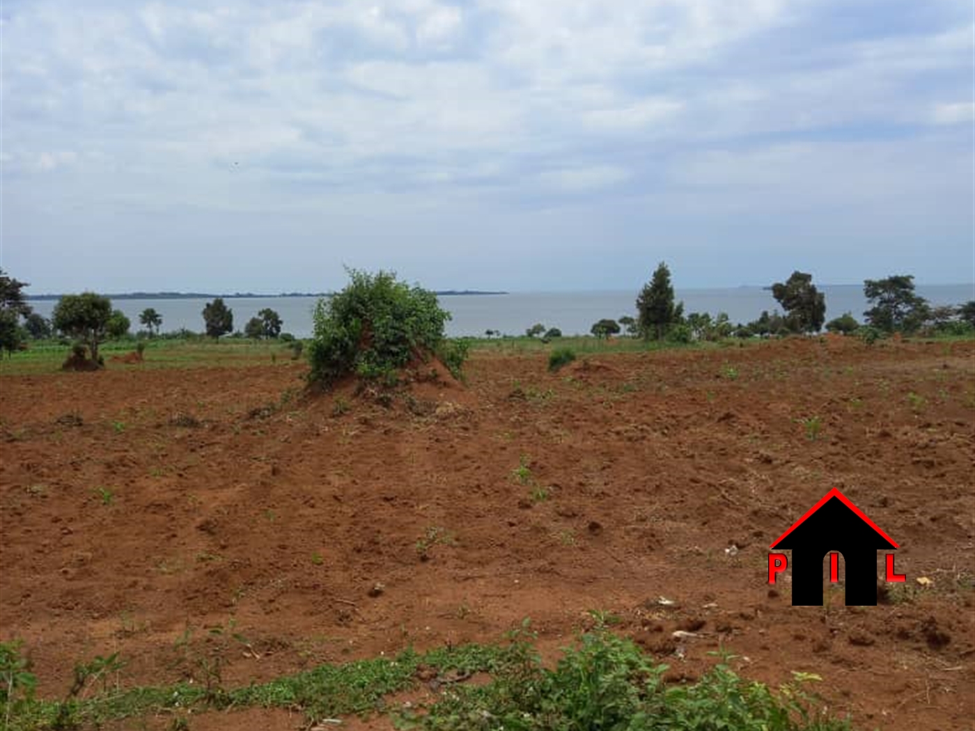 Agricultural Land for sale in Busoga Mayuge