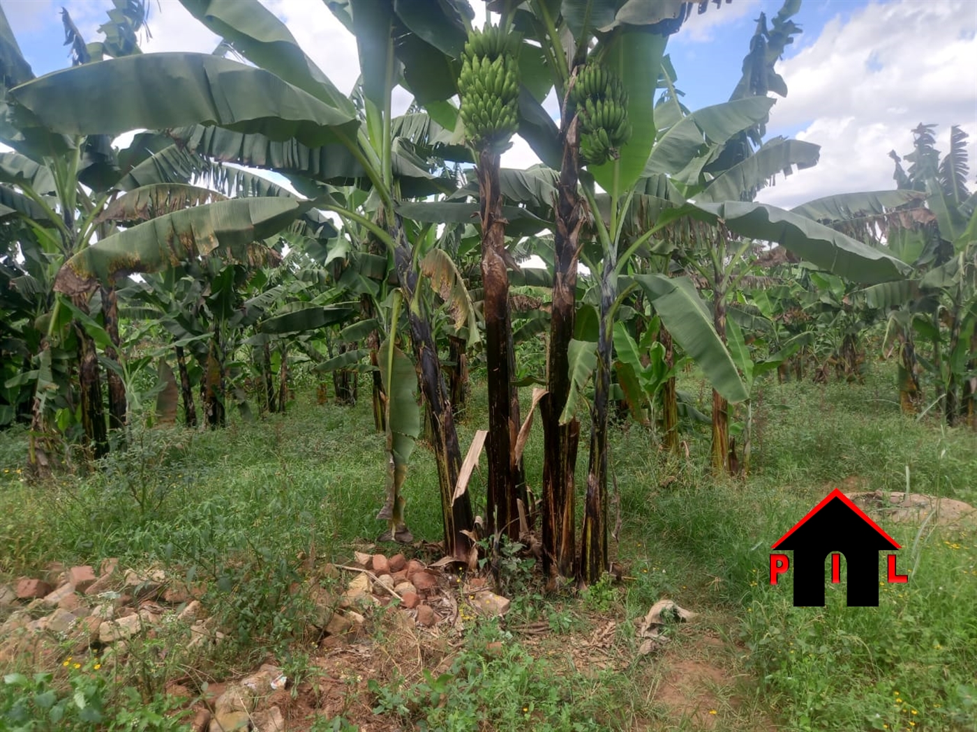 Residential Land for sale in Busiika Luweero