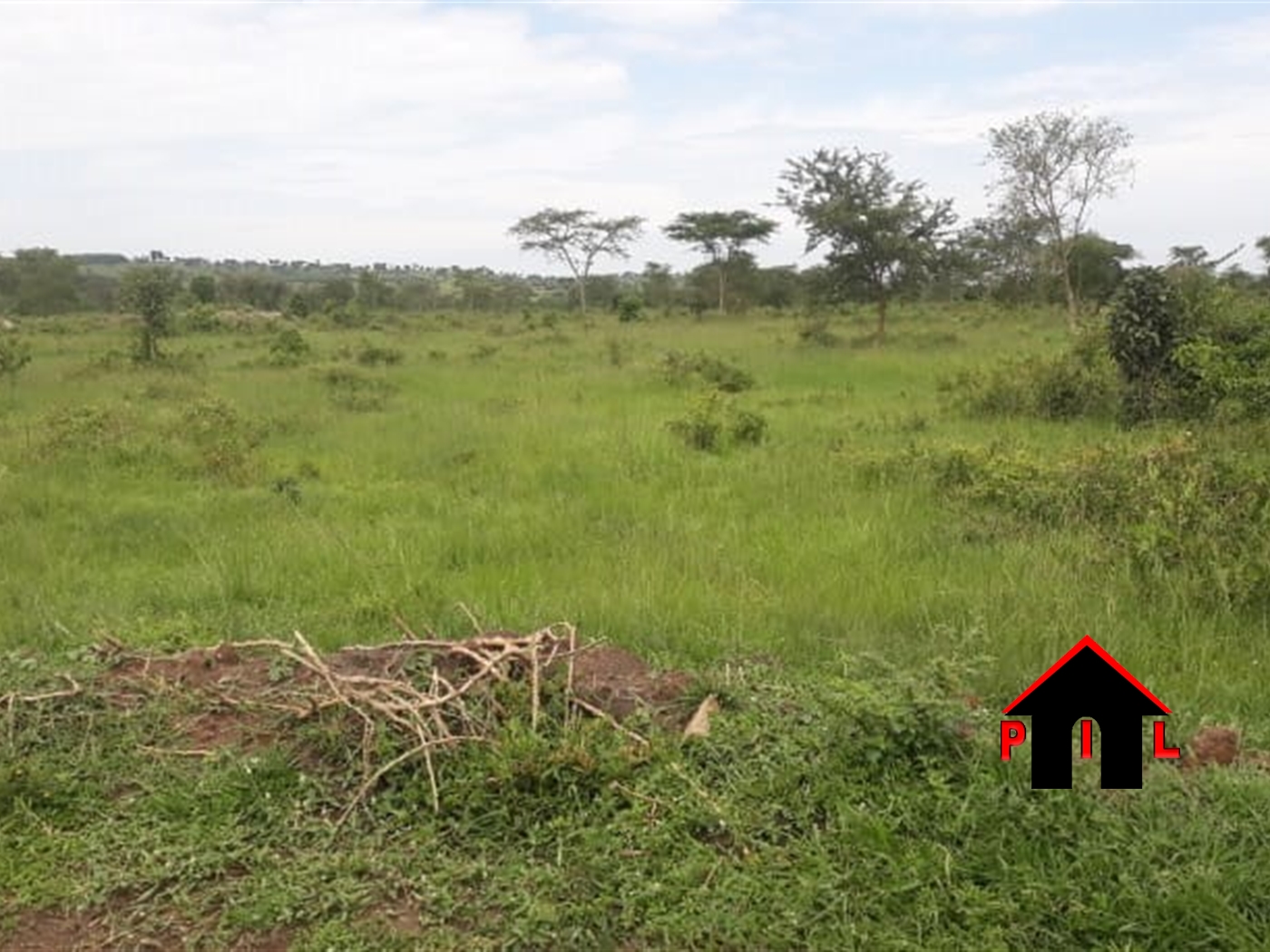 Agricultural Land for sale in Kagoma Lyantonde