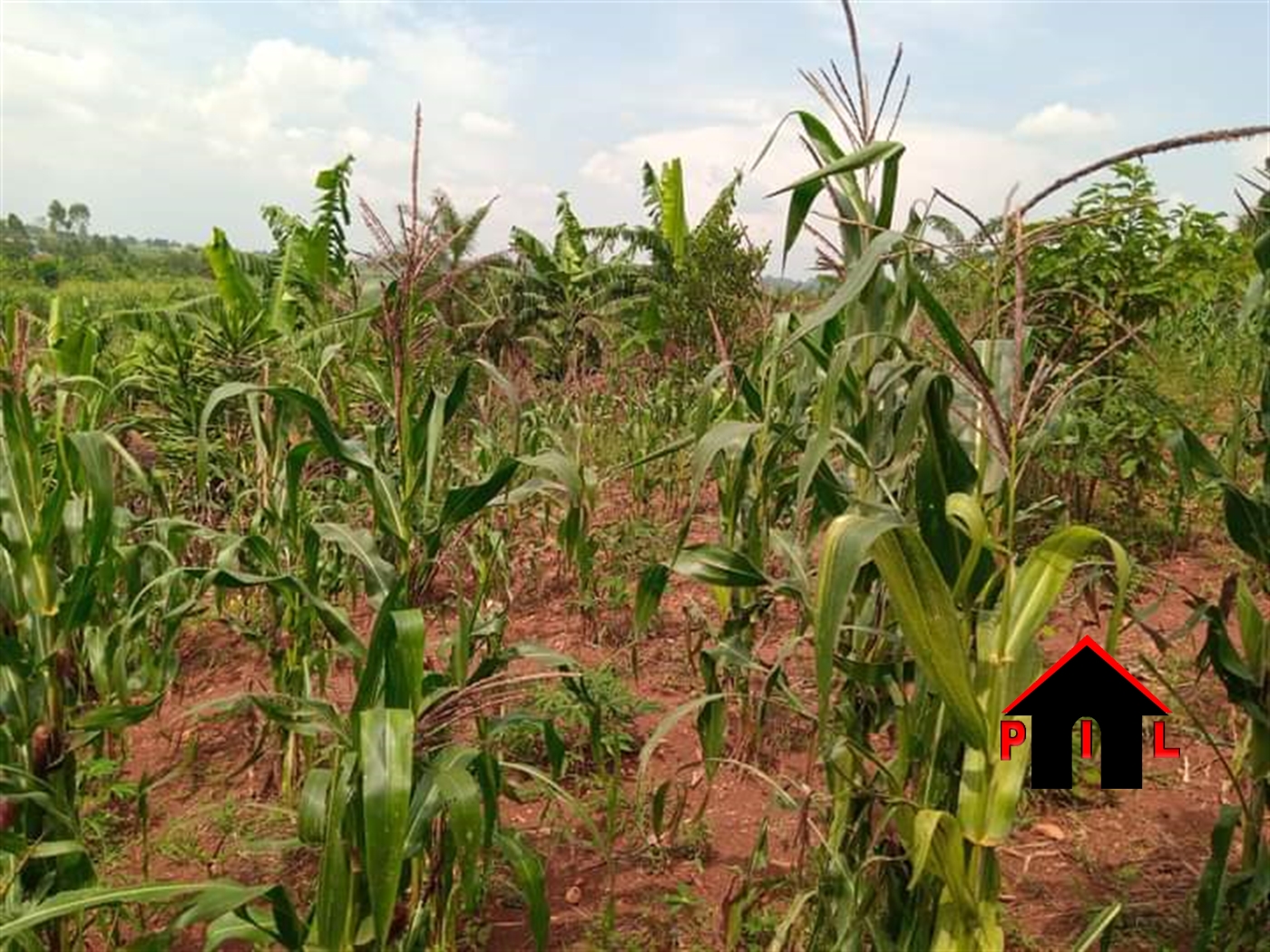 Residential Land for sale in Kitukutwe Wakiso