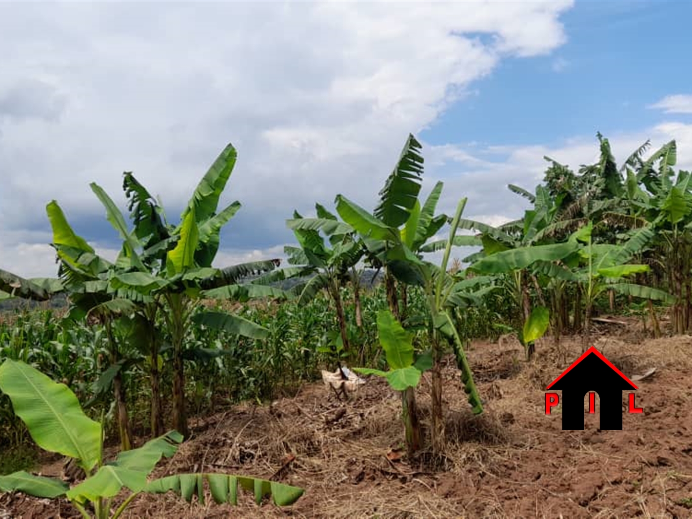 Commercial Land for sale in Ssanga Wakiso