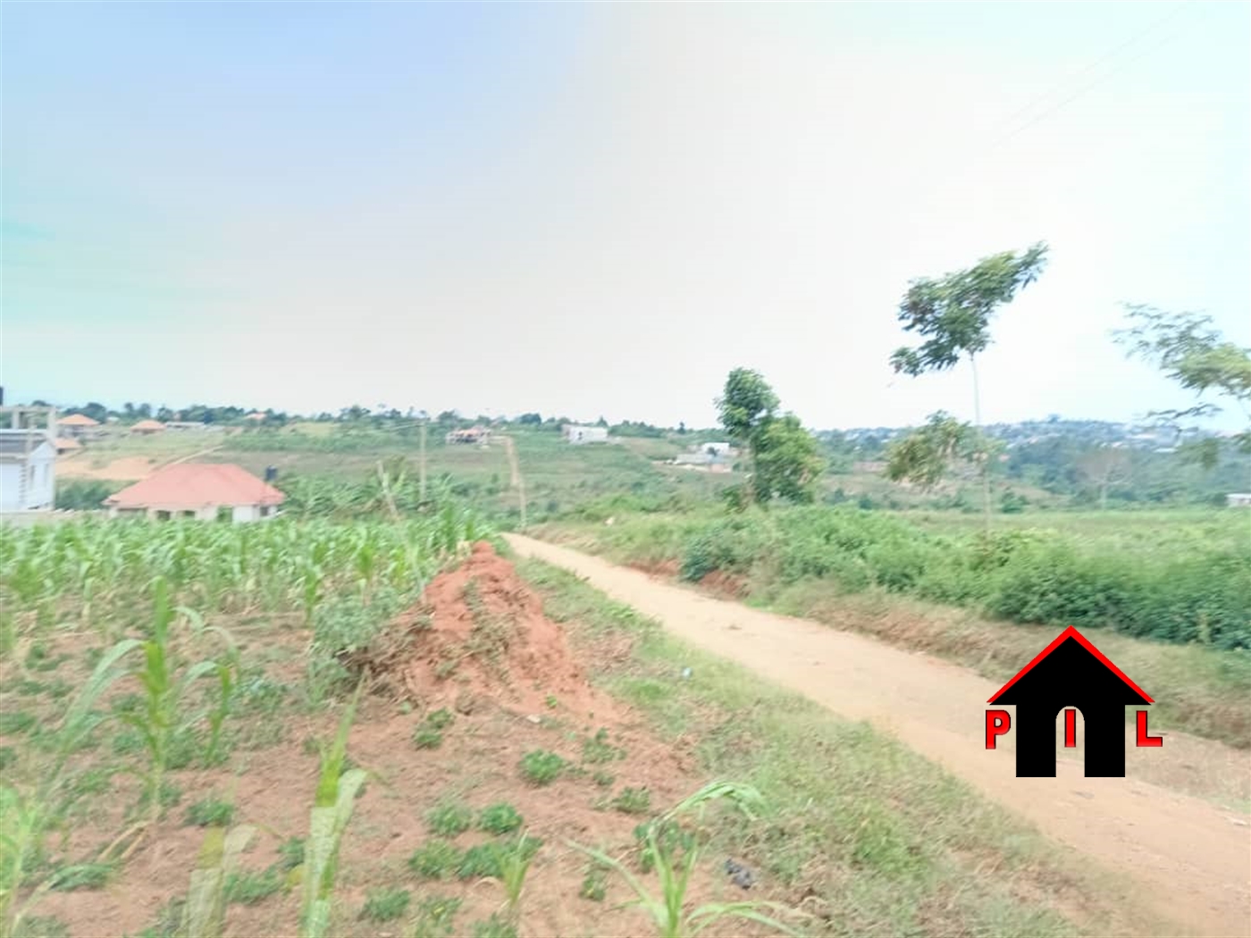 Residential Land for sale in Busukuma Wakiso