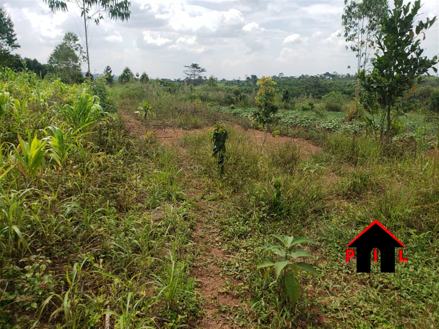 Residential Land for sale in Kabembe Mukono