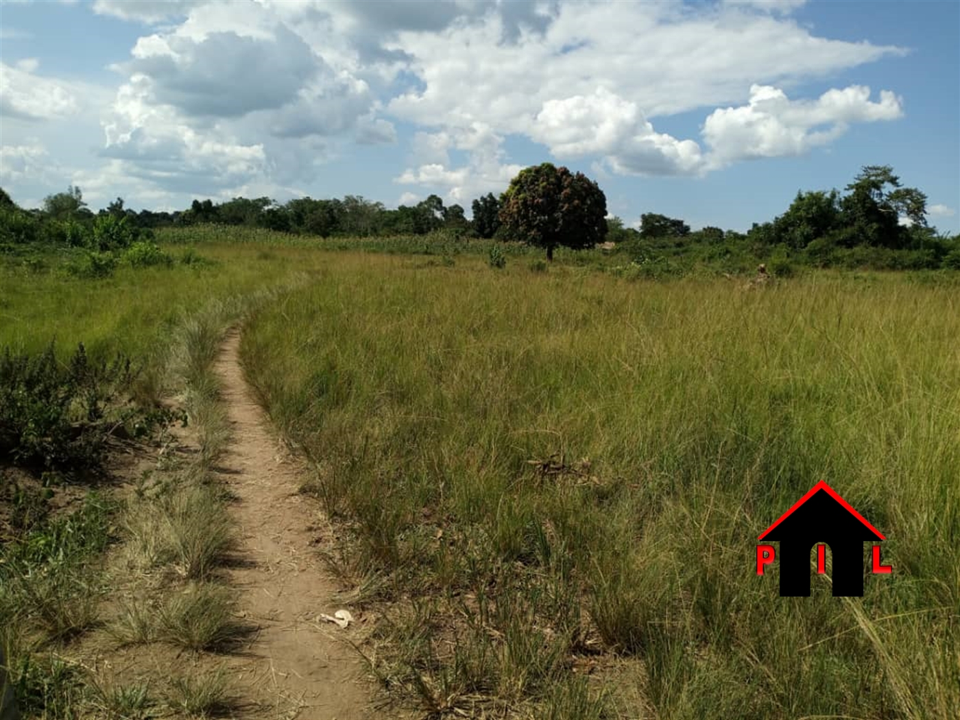 Agricultural Land for sale in Kikyuusa Luweero