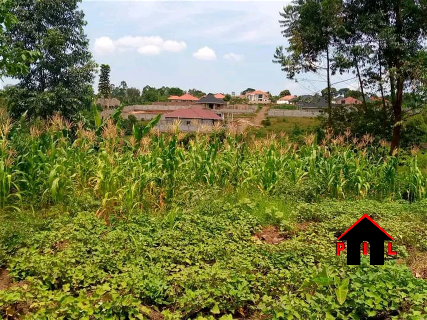 Residential Land for sale in Ssisa Wakiso