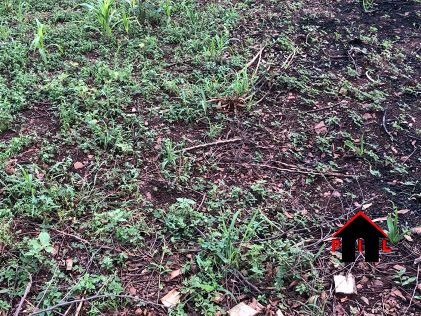 Residential Land for sale in Masooli Wakiso