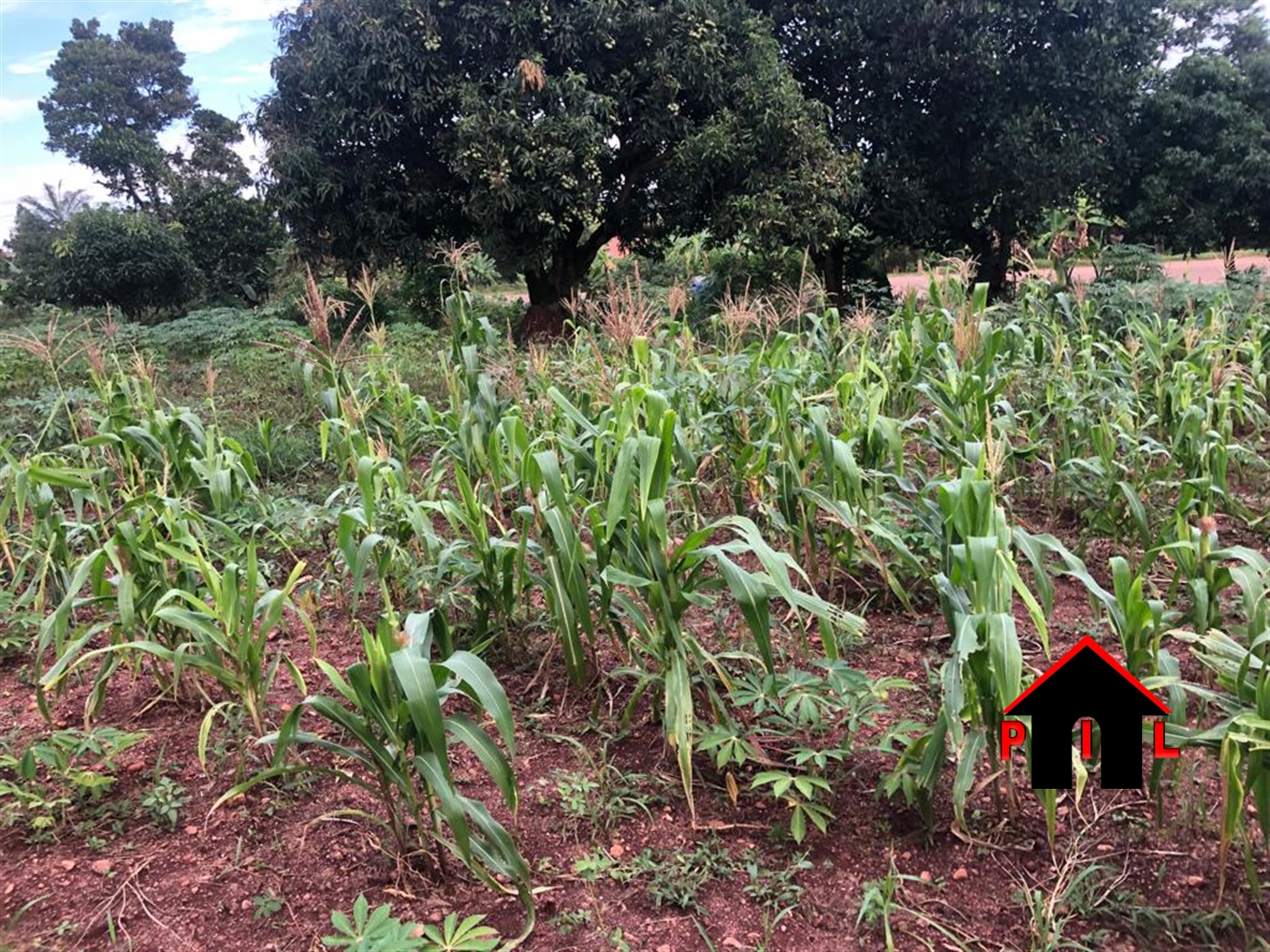 Residential Land for sale in Buwagga Wakiso