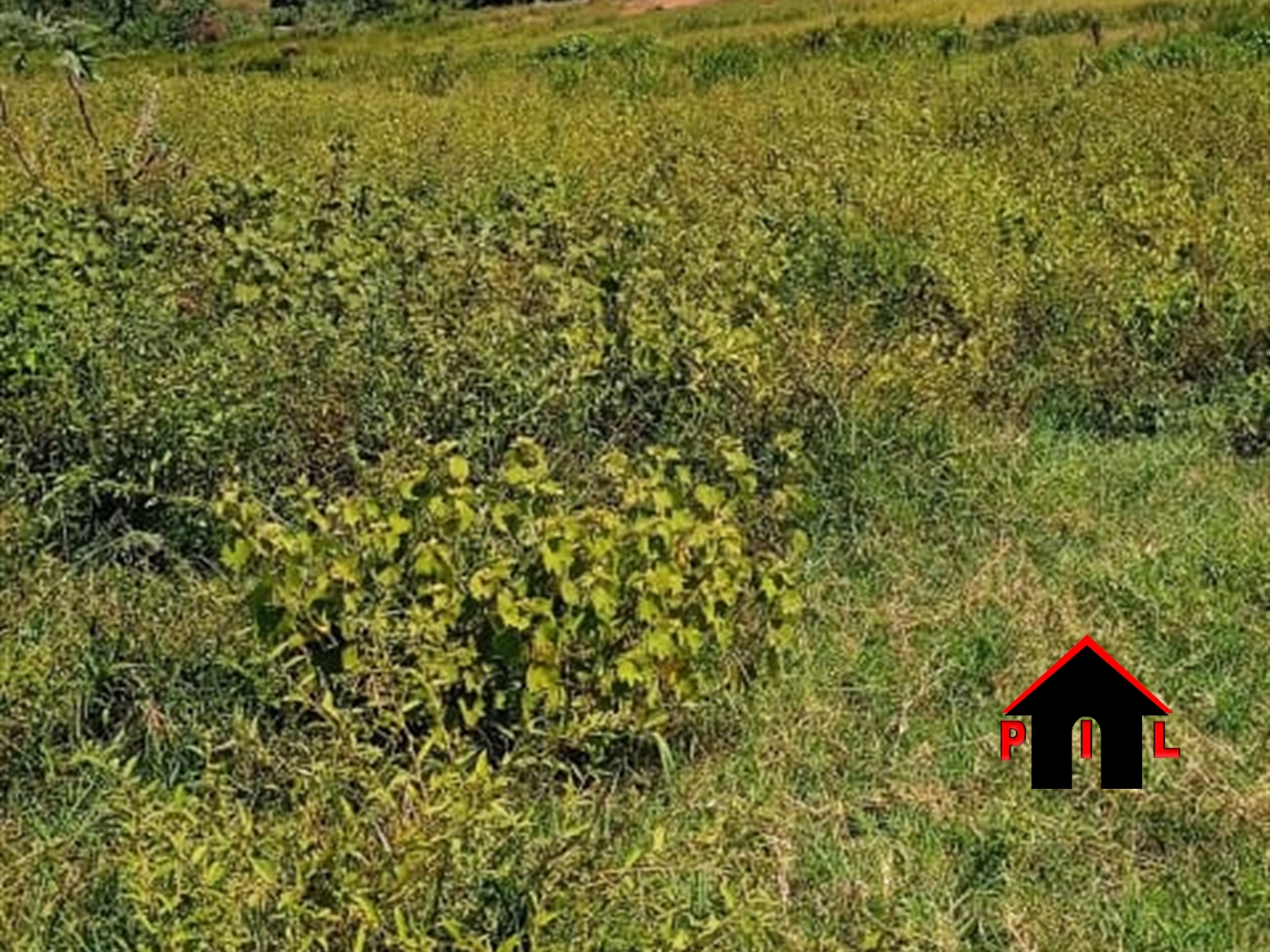 Residential Land for sale in Kiwebwa Wakiso