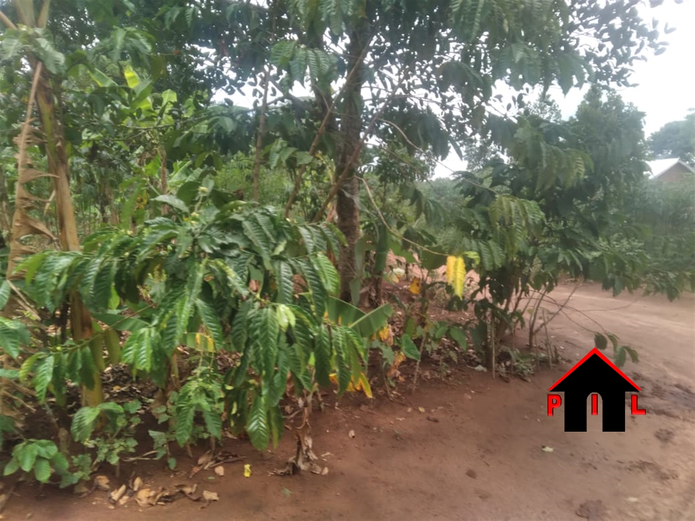 Residential Land for sale in Busiika Wakiso