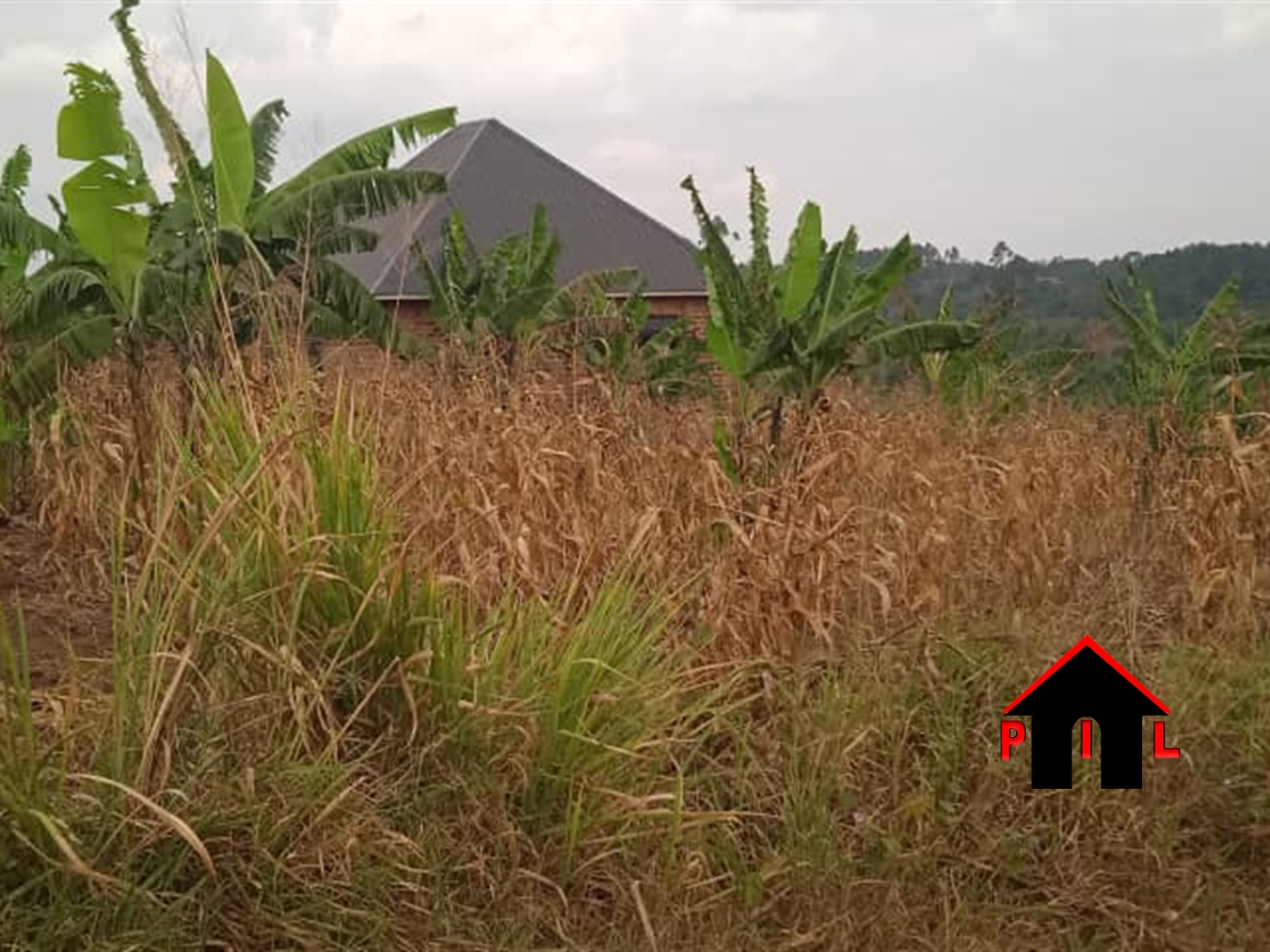 Residential Land for sale in Namayumba Wakiso