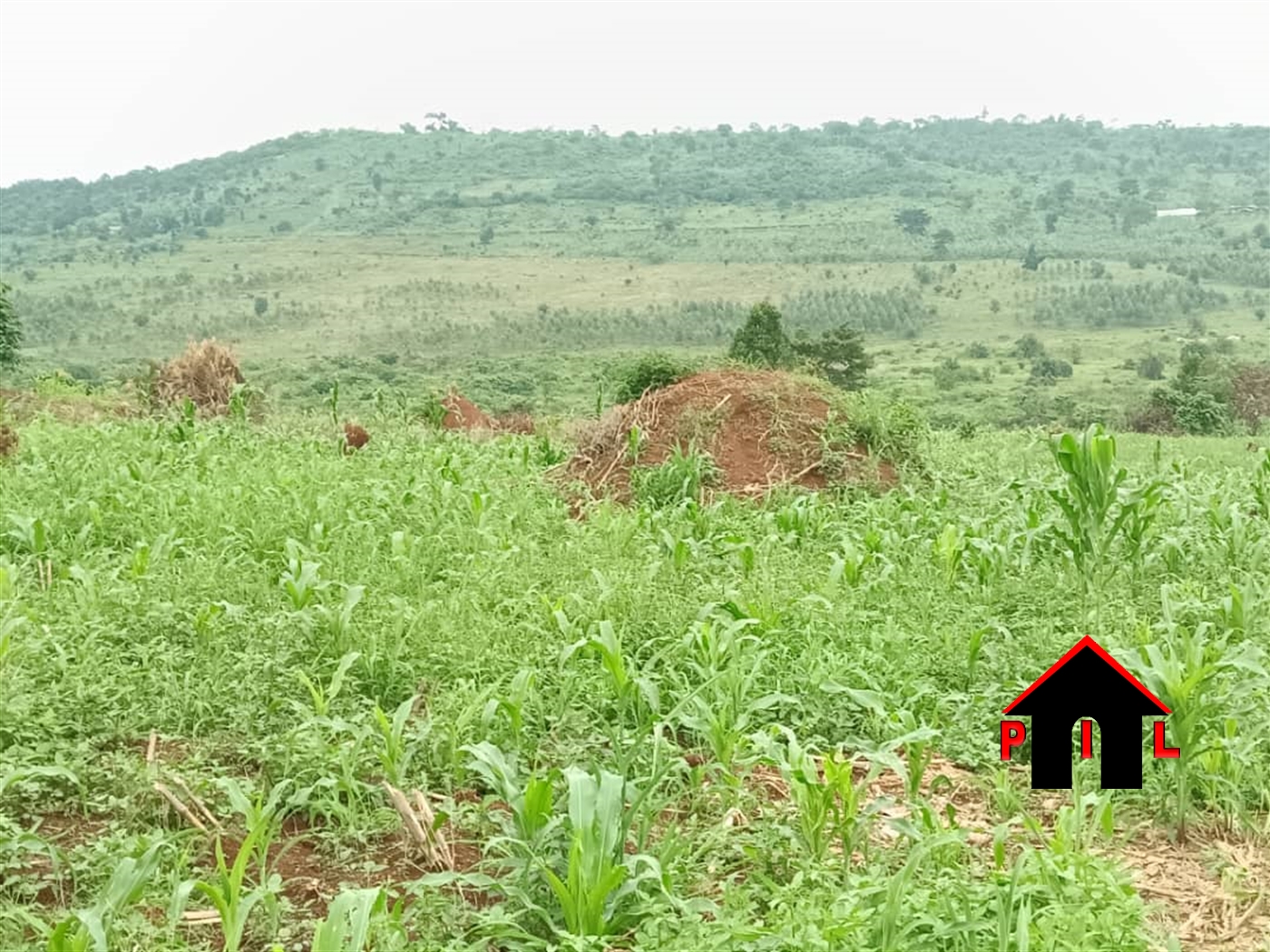 Commercial Land for sale in Kyanja Kampala