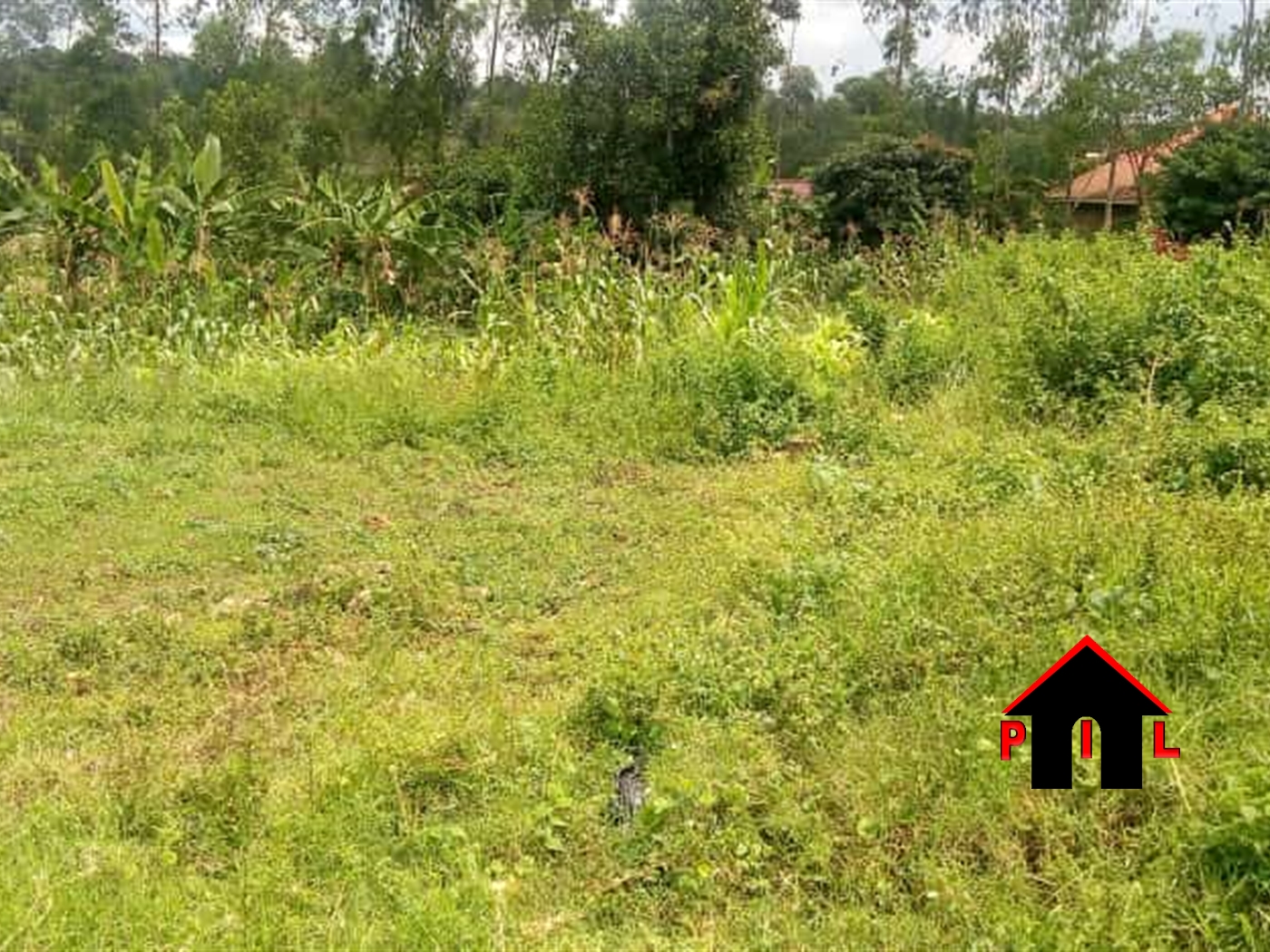 Residential Land for sale in Kijabijo Wakiso