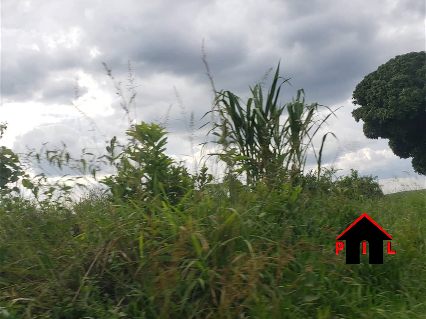 Agricultural Land for sale in Buzibwela Luweero