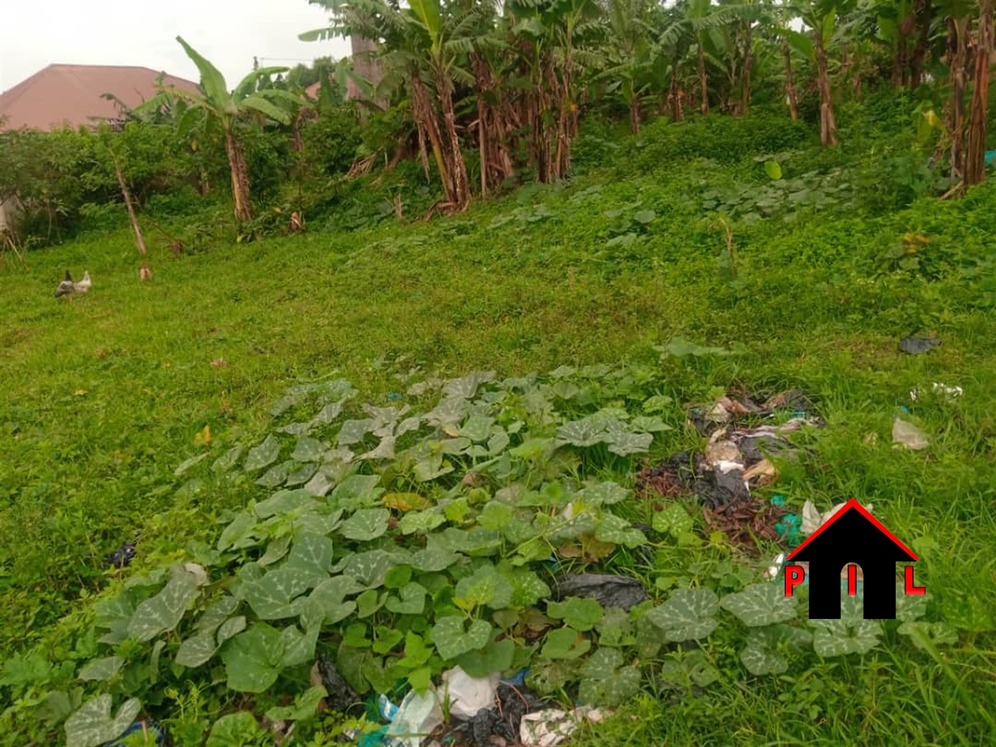 Residential Land for sale in Namugongo Wakiso