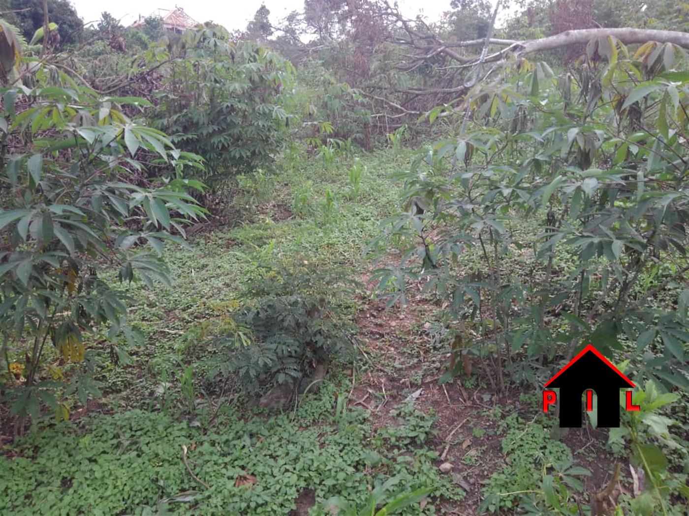 Agricultural Land for sale in Masode Kiboga