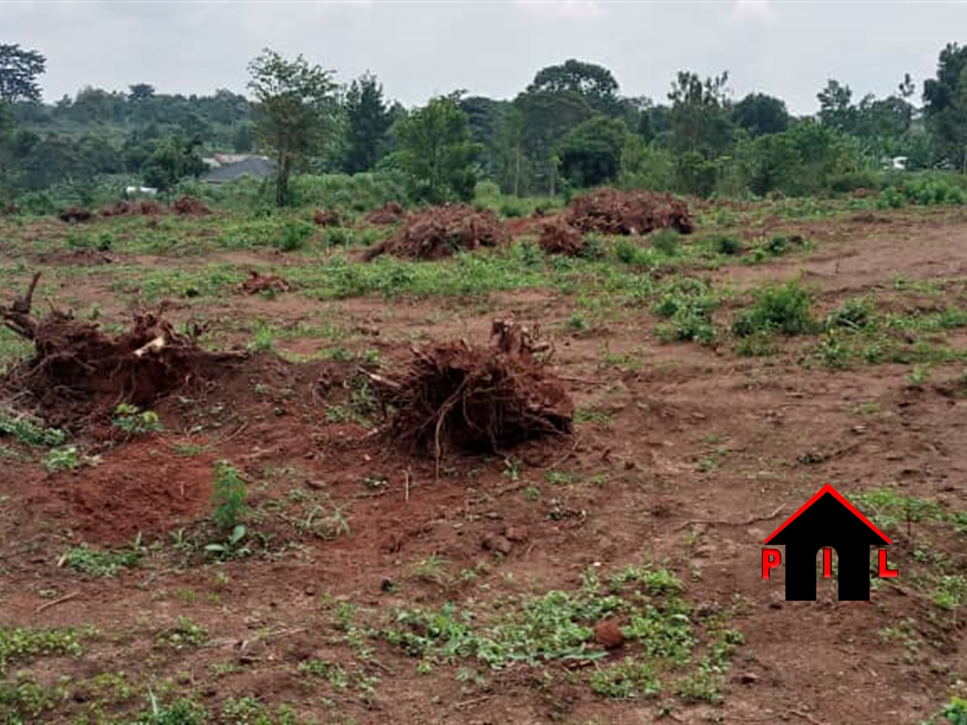 Residential Land for sale in Katadde Wakiso