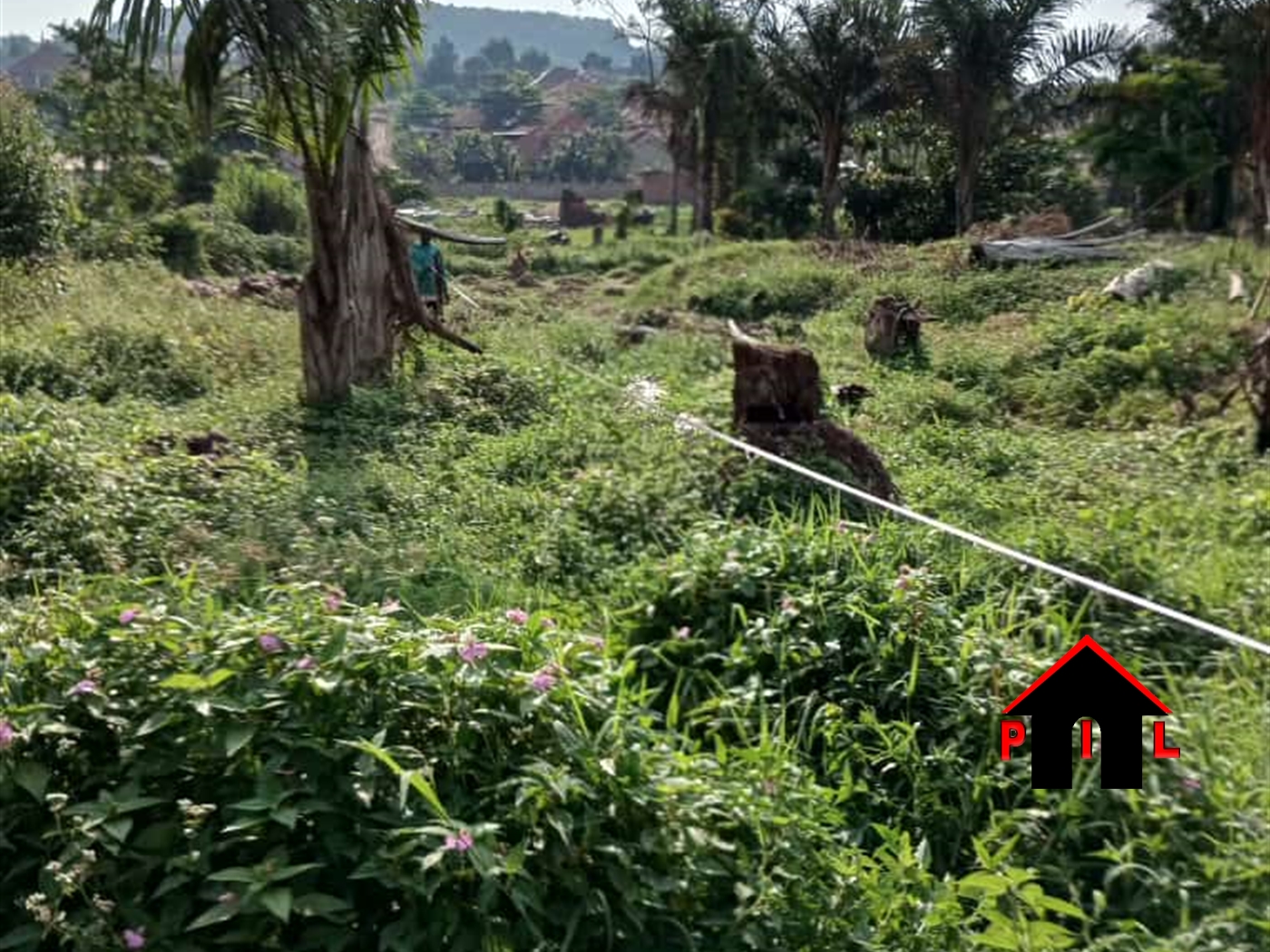 Residential Land for sale in Namayanga Nakasongola