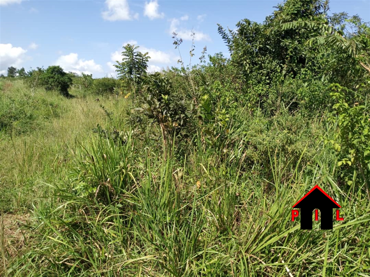 Residential Land for sale in Bombo Luweero