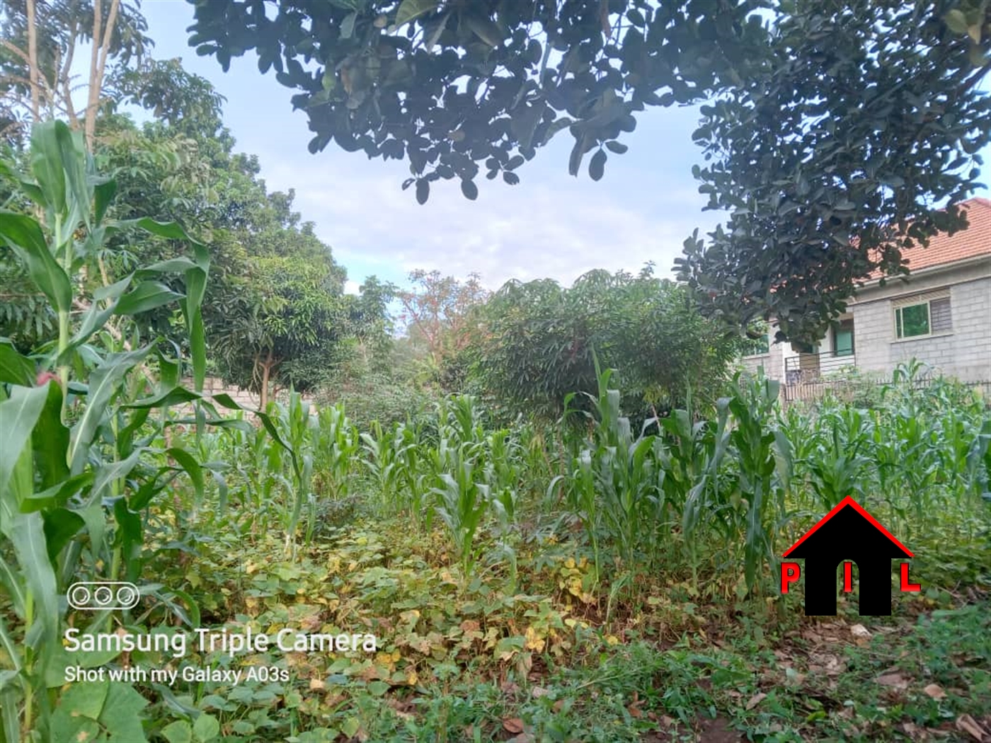 Residential Land for sale in Kyaliwajjala Wakiso