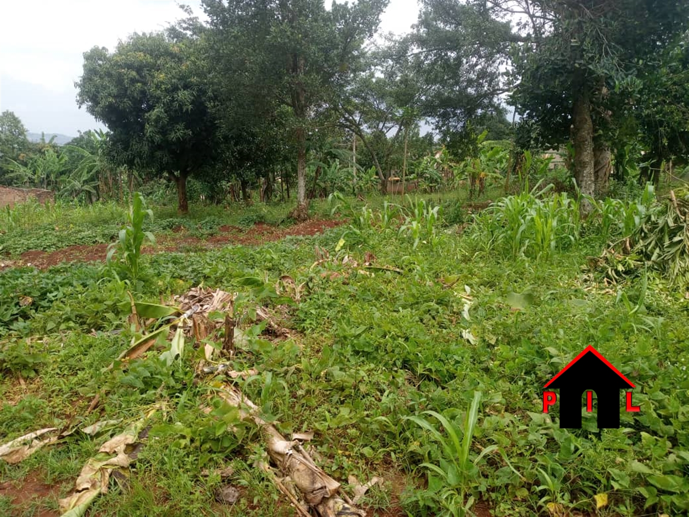 Commercial Land for sale in Kasawo Mukono