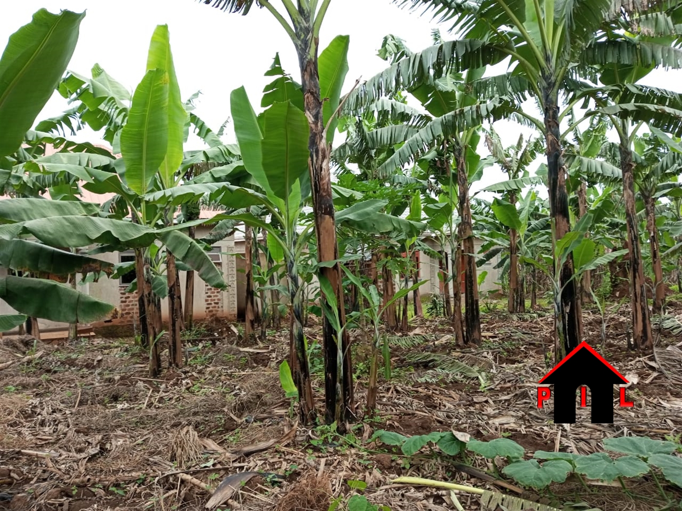 Residential Land for sale in Matugga Wakiso