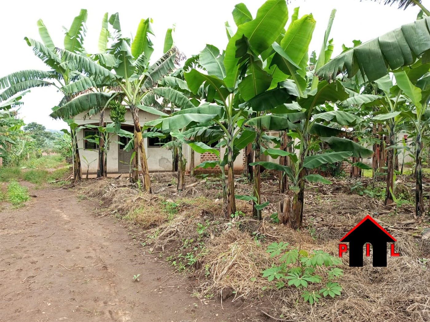 Residential Land for sale in Matugga Wakiso