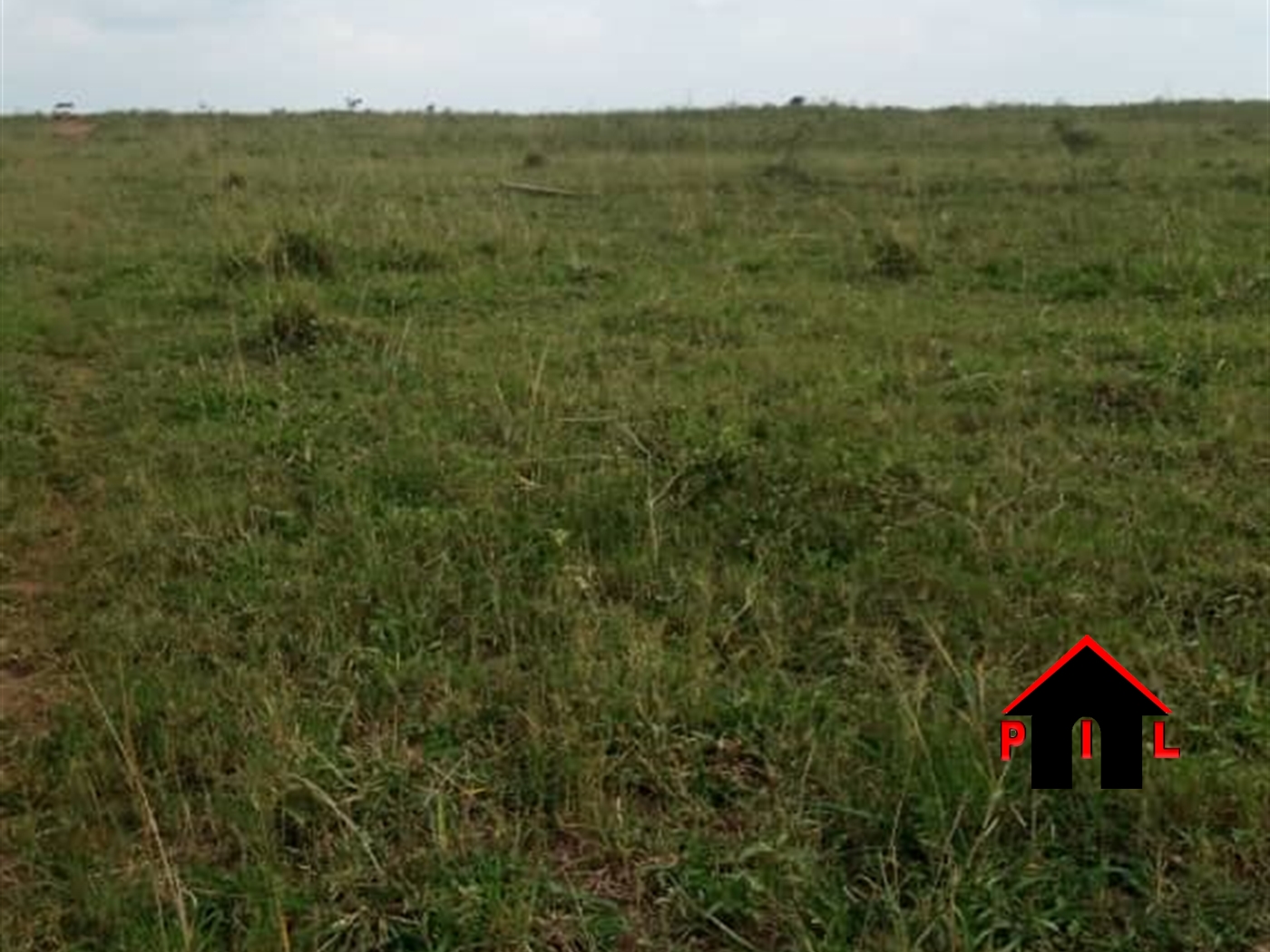 Agricultural Land for sale in Kakooge Nakasongola