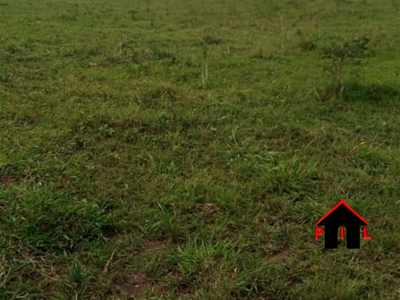 Agricultural Land for sale in Kakooge Nakasongola